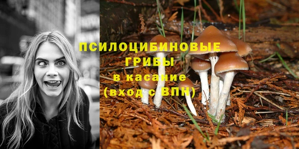 прущая мука Богородицк