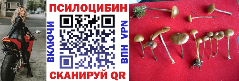 Галлюциногенные грибы прущие грибы сколько стоит Вихоревка